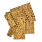 movement-trays-custom